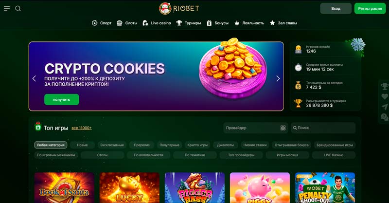 Внешний вид